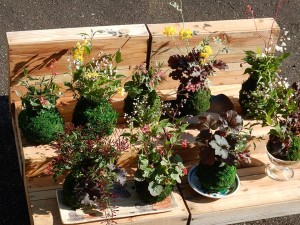 90297010_2839617512782963_3597575696458711040_n