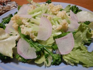 90386723_2830371593707555_8204266225539219456_o