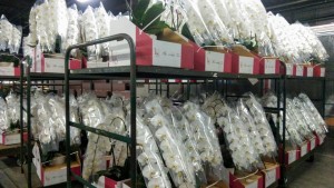 90539283_2842995309111850_612541067455102976_n