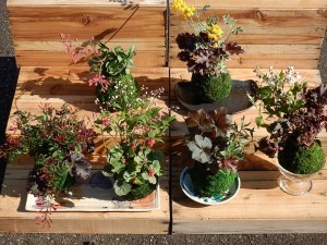 90586022_2839617429449638_8278273592995610624_n