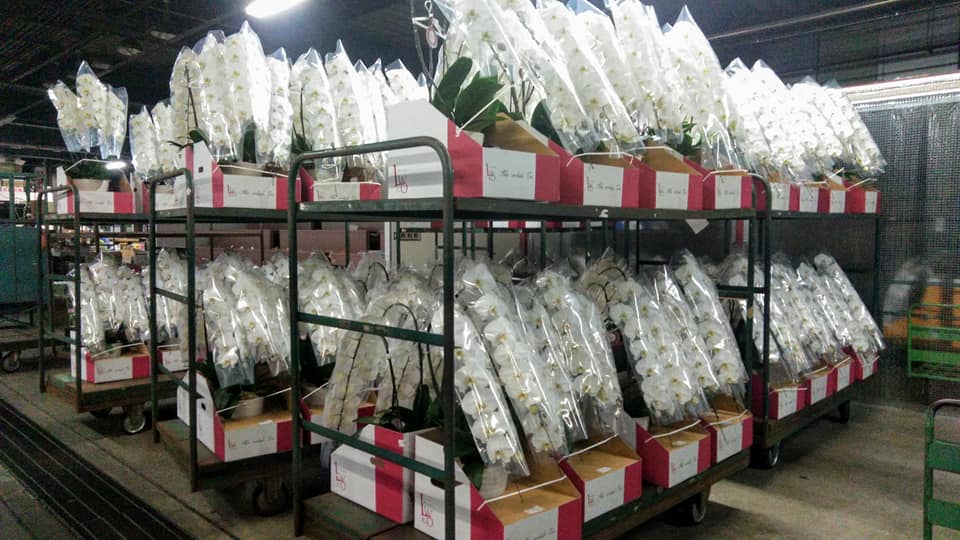 バブルの世界☆