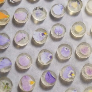 91007462_577544916171015_245132071553466368_n