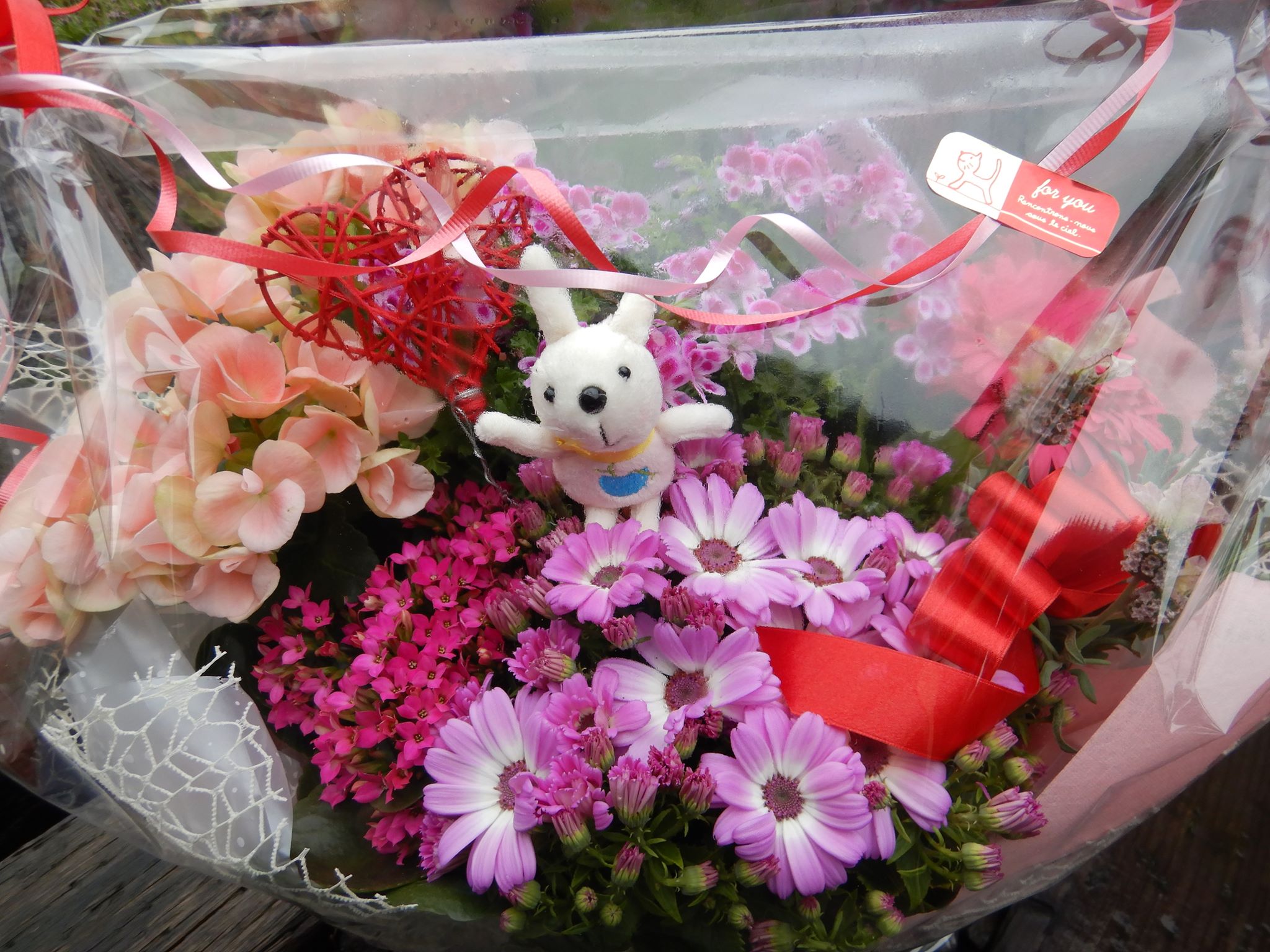 プロポーズ大作戦！！