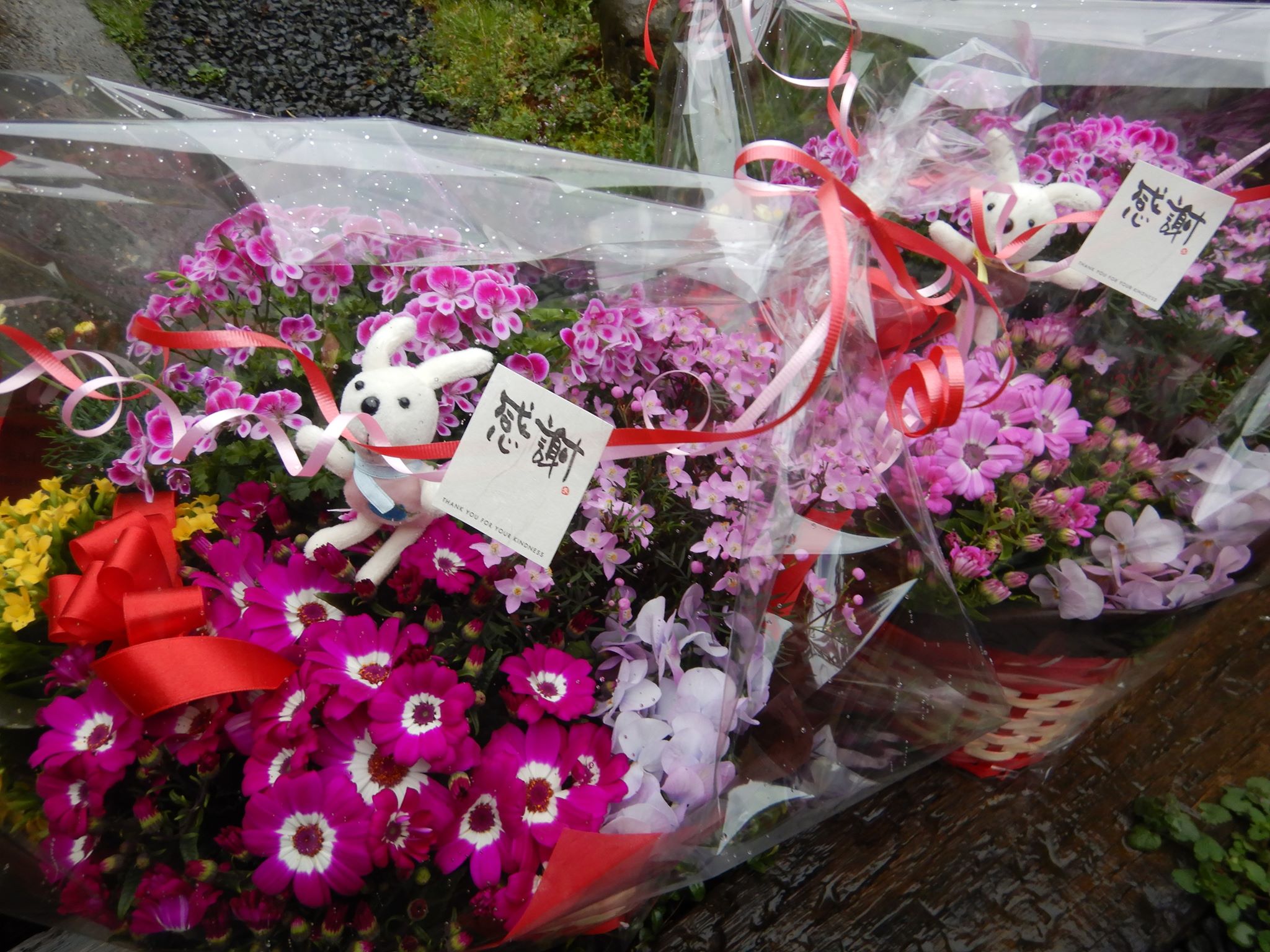 年度末にフラワーンダフルギフト🌸