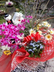 91322412_1070105056685027_261481002004643840_n