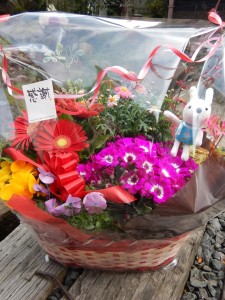 91323746_2901717959920326_4266148662444294144_n