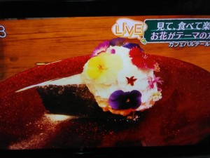 91384836_525221688429751_1223096605889003520_n