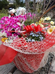 91460106_3435192673161636_6292769860560617472_n