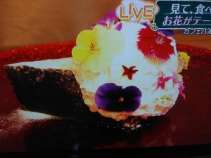 91616972_532371187653501_1063996547500343296_n