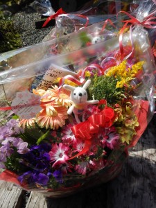 91783300_503586533647132_5831321026704703488_n