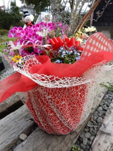 91863406_584711938918931_6807468085499396096_n