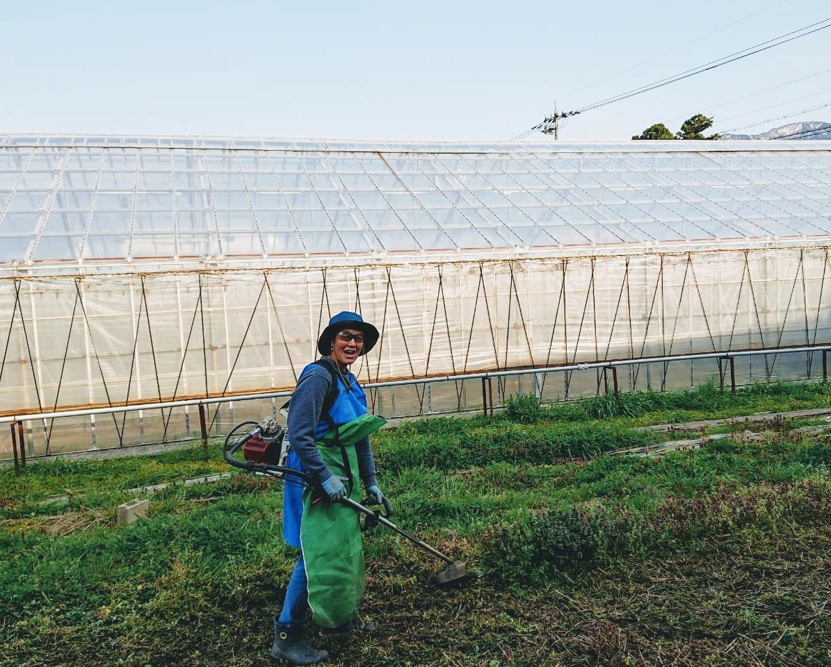 気持ちいい草刈り♪