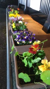 92047482_510899919577192_5358011443092389888_n