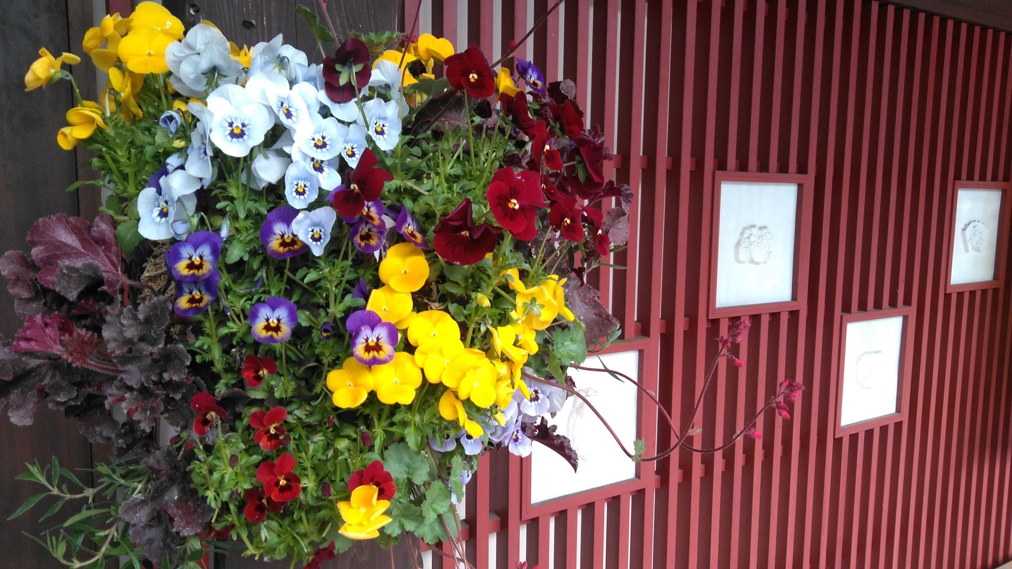 田村萬盛堂「木型館」様にお花の納品🌸