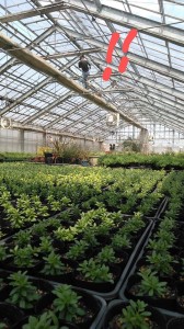 92326788_2871825922895455_5721978937534316544_o