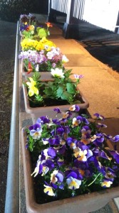 92363552_2513373002217934_2702871718791217152_n