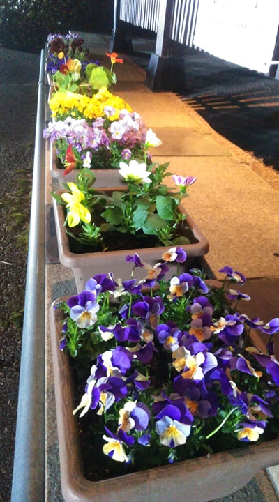 「お花はお家のアクセサリー☆」