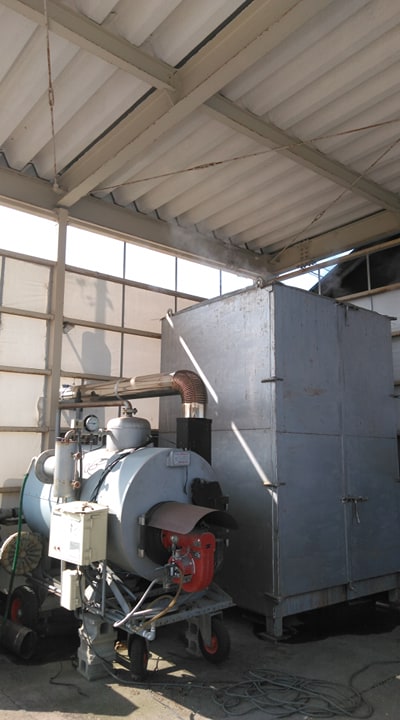 シクラメンシーズン突入！！