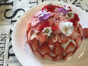 92467852_2243388302623338_6038233502846025728_n