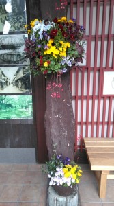 92504177_231694928038147_4164207038148116480_n