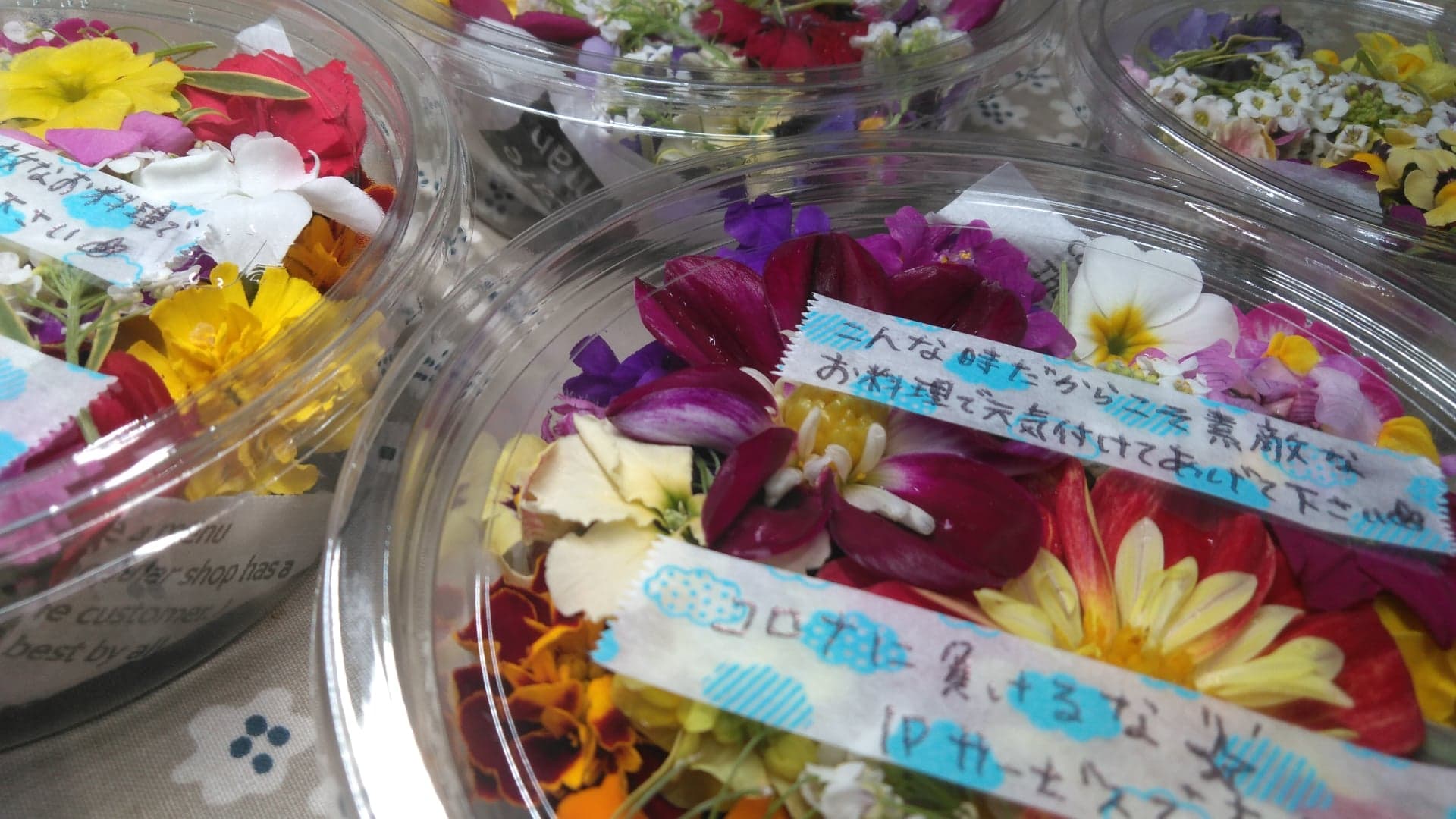 コロナに負けるな！！