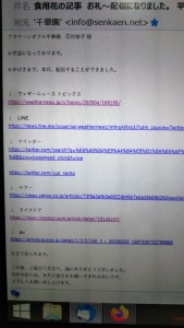 93974832_165918188010309_3833256872865955840_n