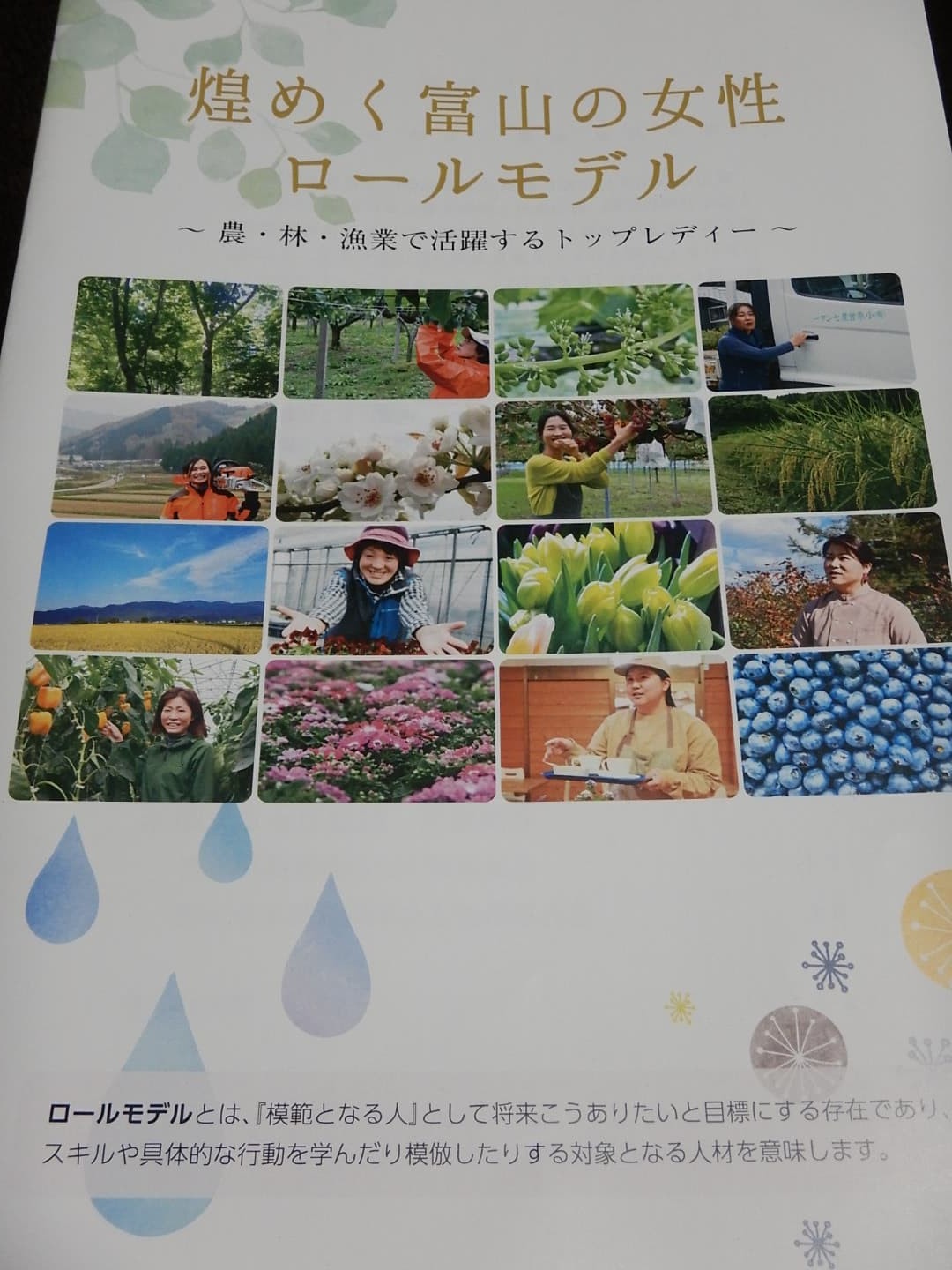 煌めく富山の女性ロールモデル☆