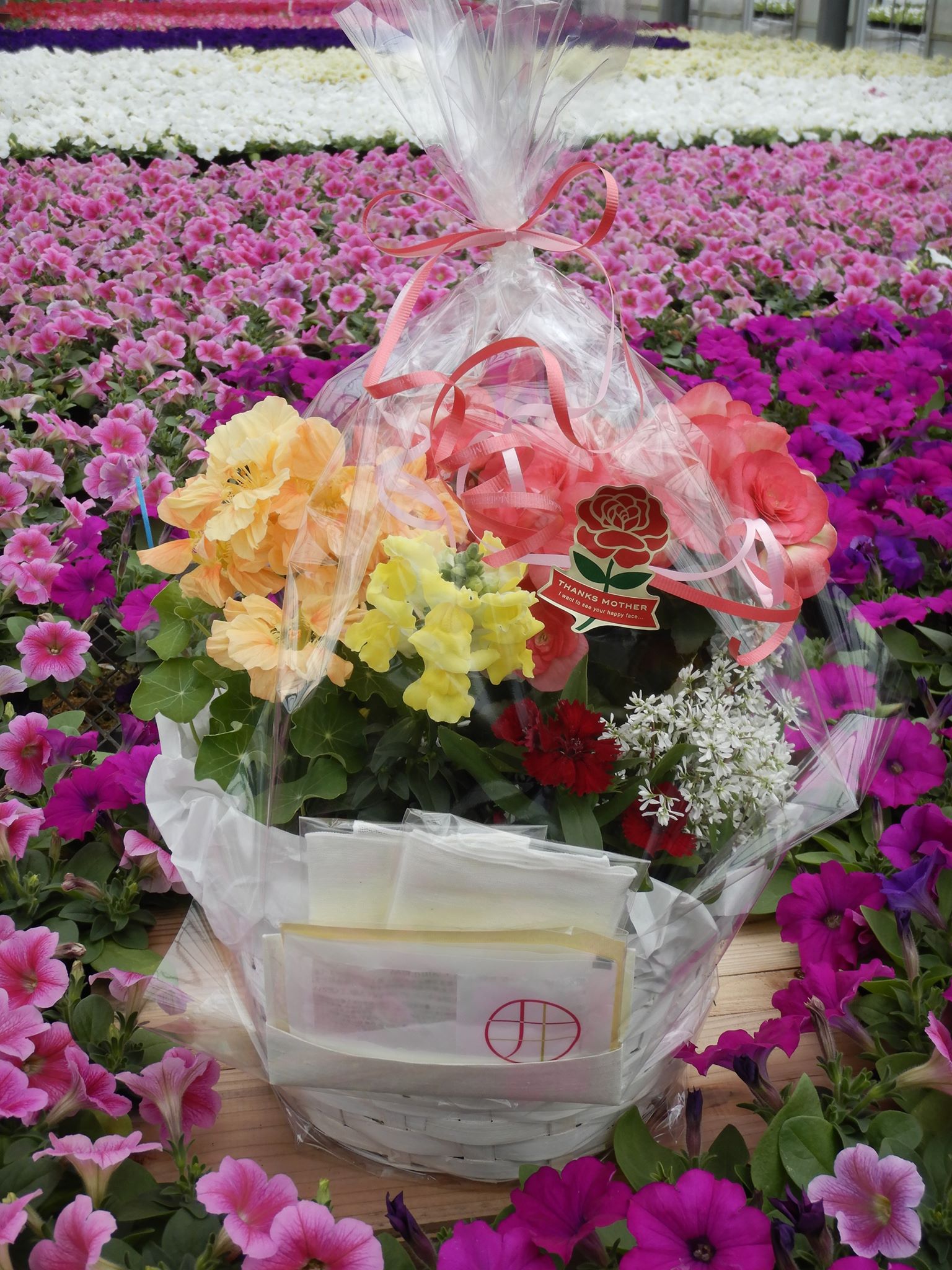 母の日ギフト順次発送です🌸