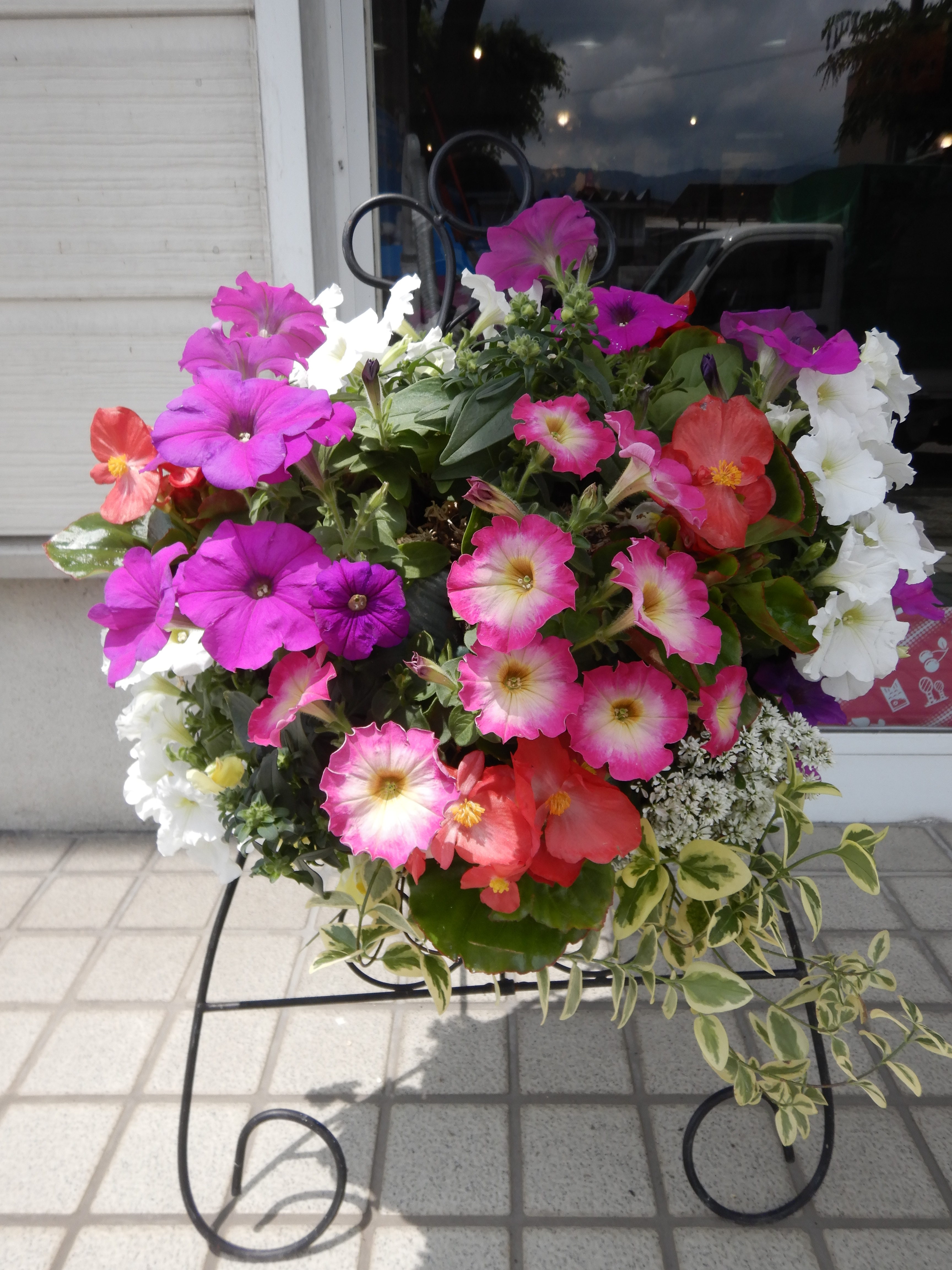 ハンギングバスケット納品🌸