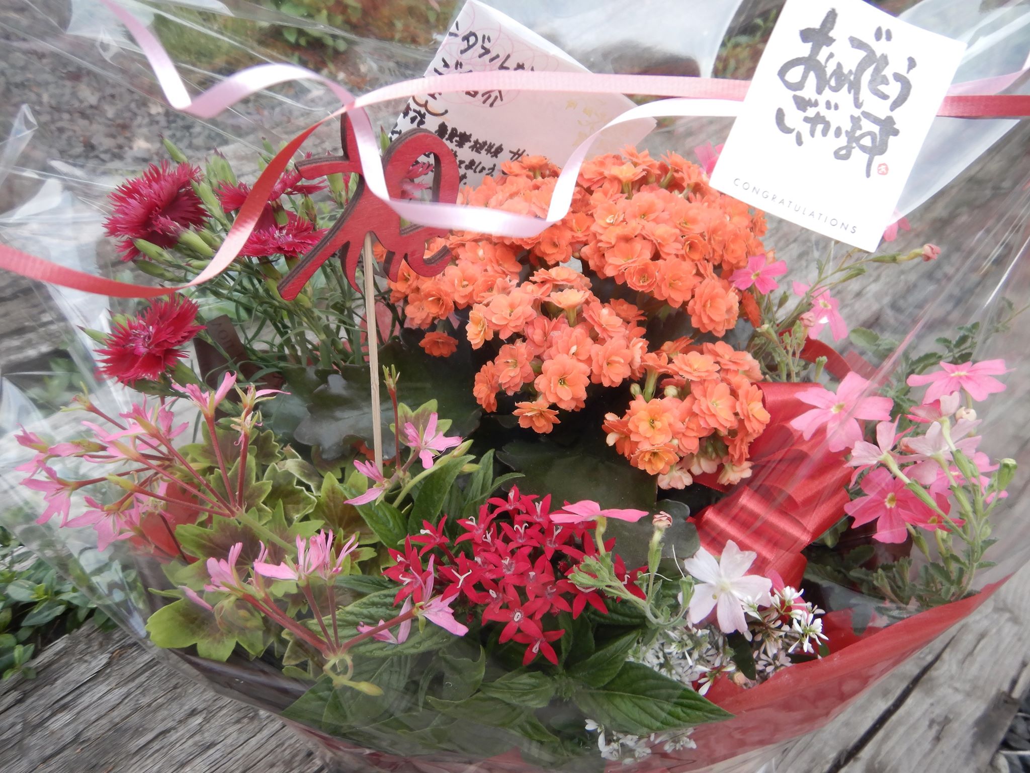 お祝いのフラワーバスケット🌸