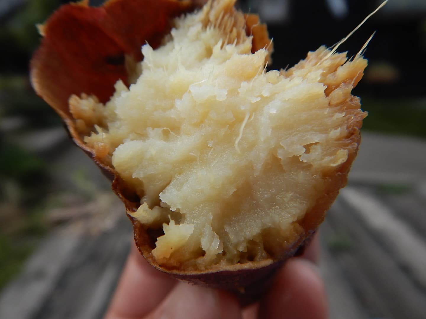 「焼き芋」と「夕焼け」