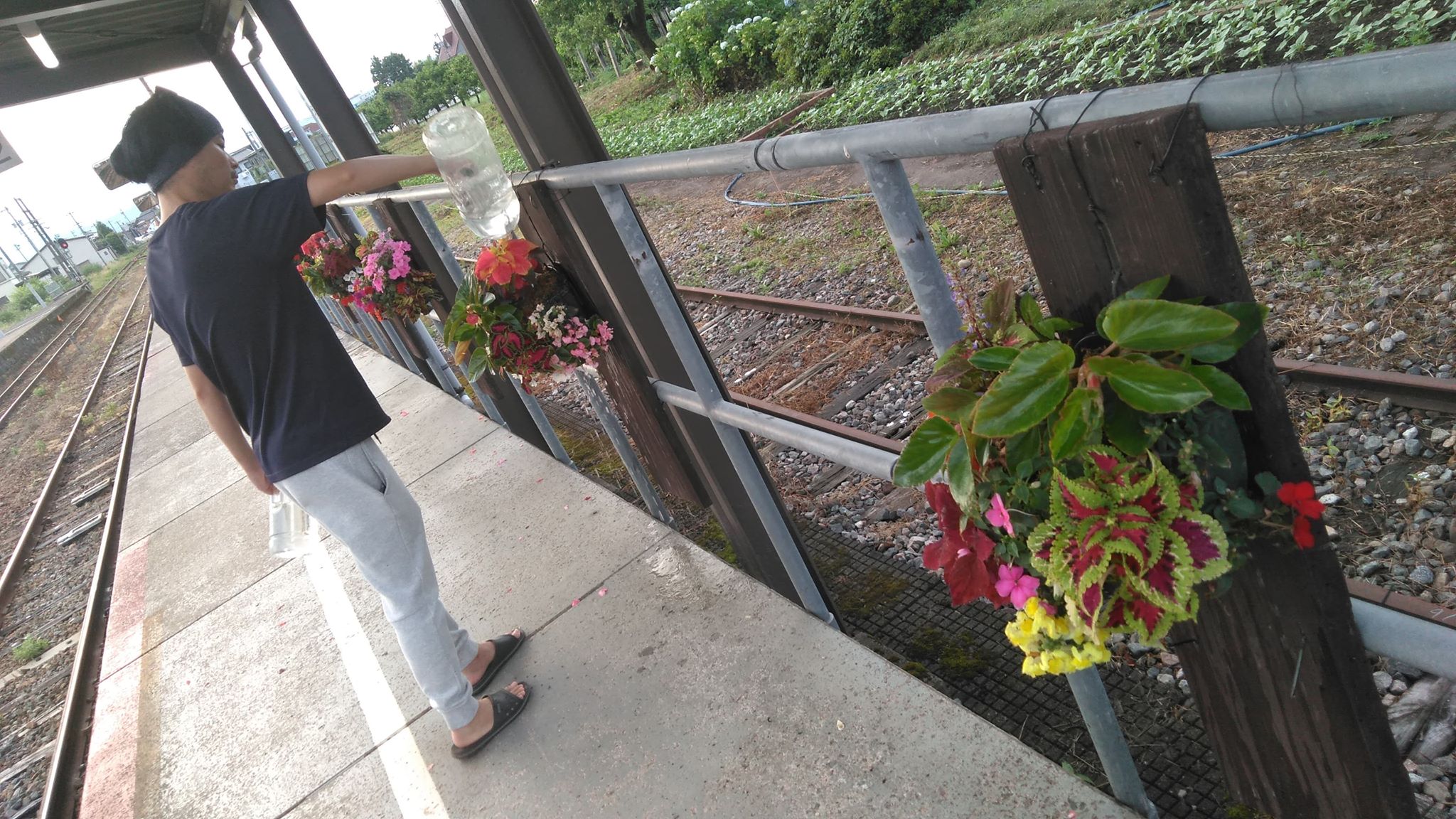 駅前花飾り水やり当番