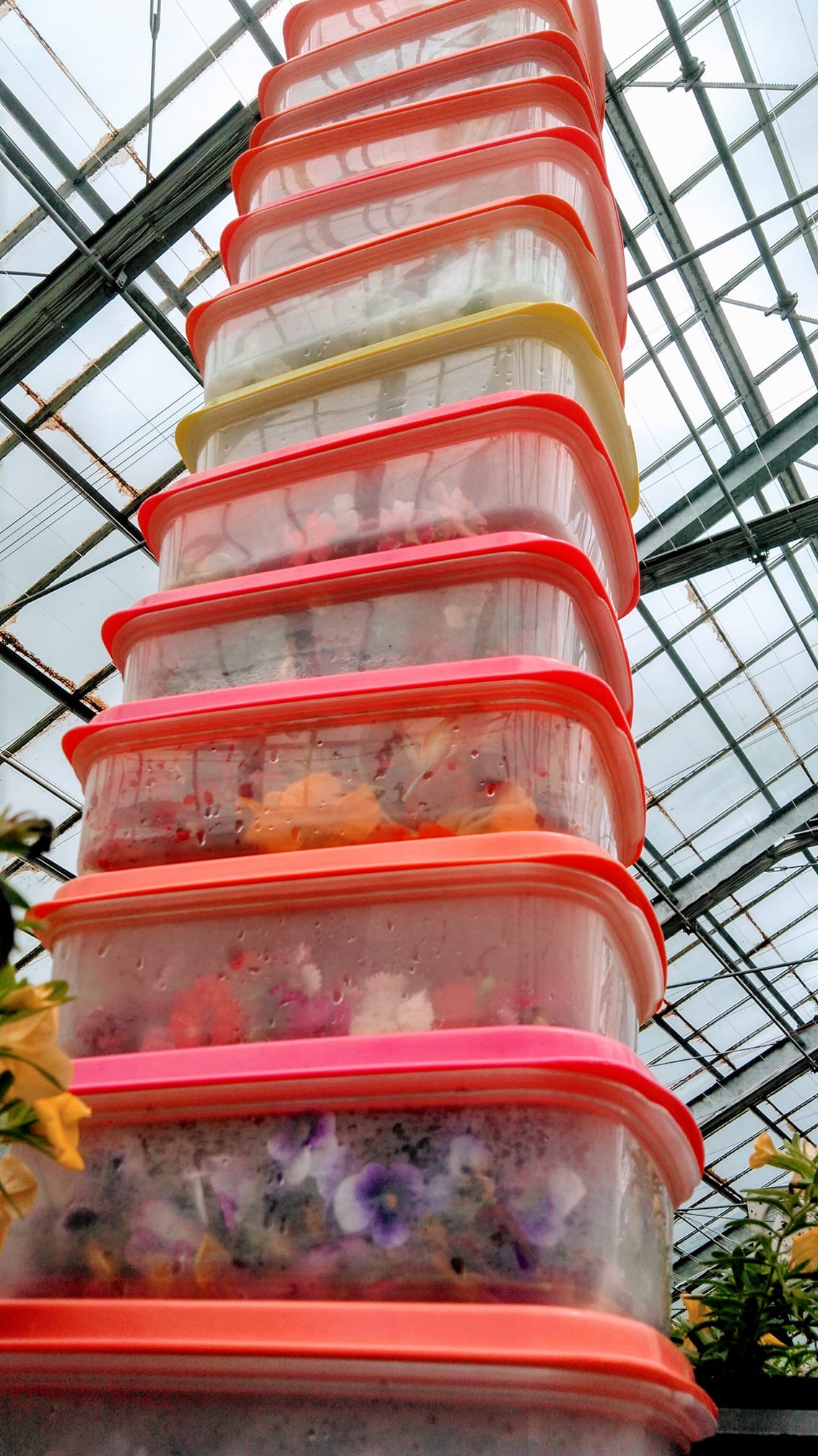 七夕の日に・・・