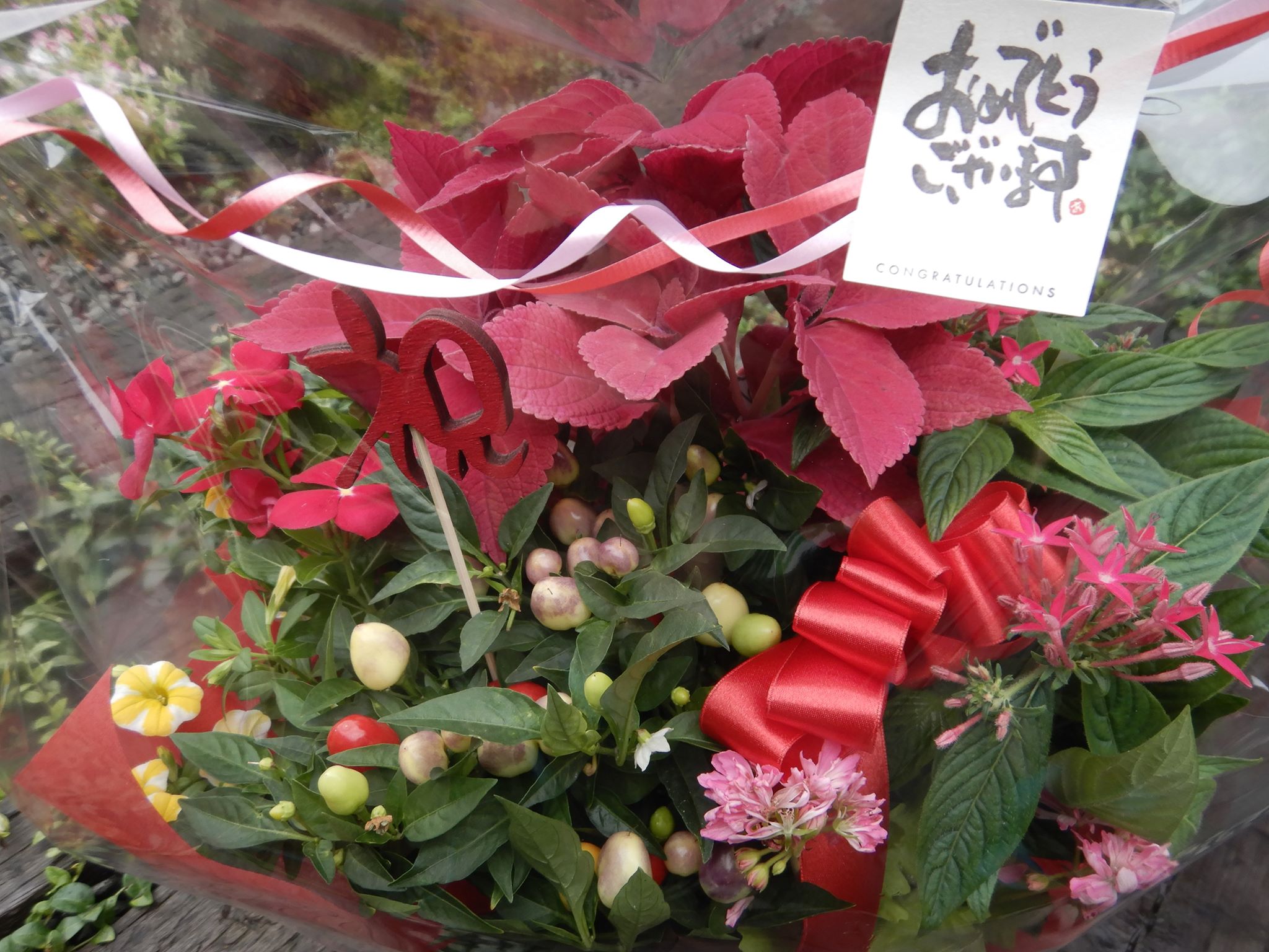お祝いにフラワーンダフル🌸