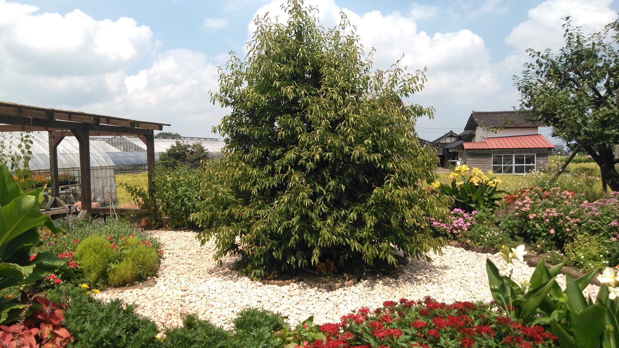 出来た出来た！！！