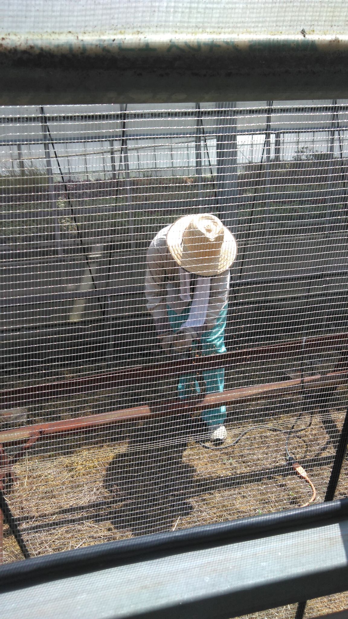 未来への投資！！！