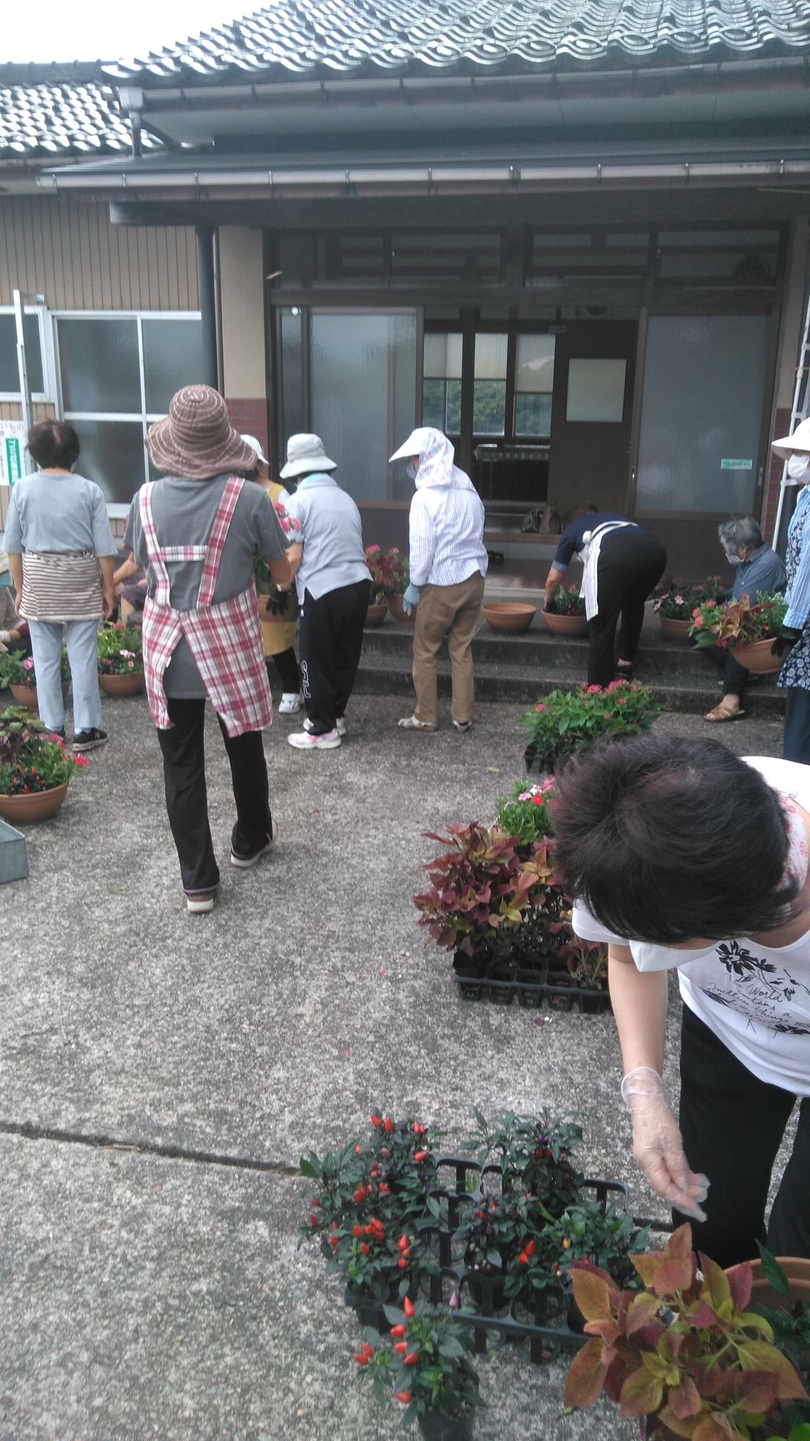 今日の寄せ植え教室🌸
