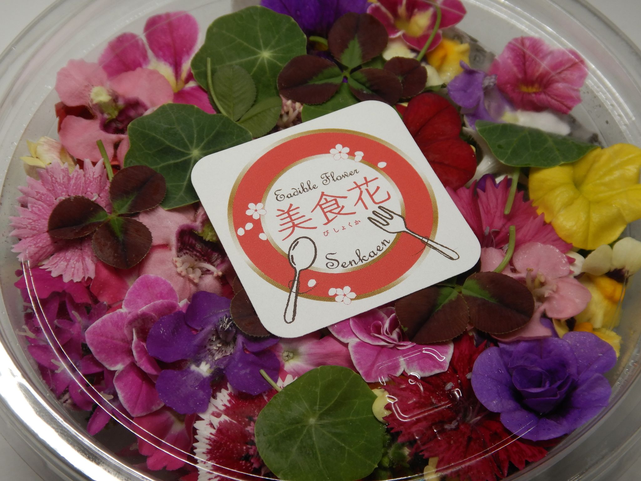 新店舗試作に♪