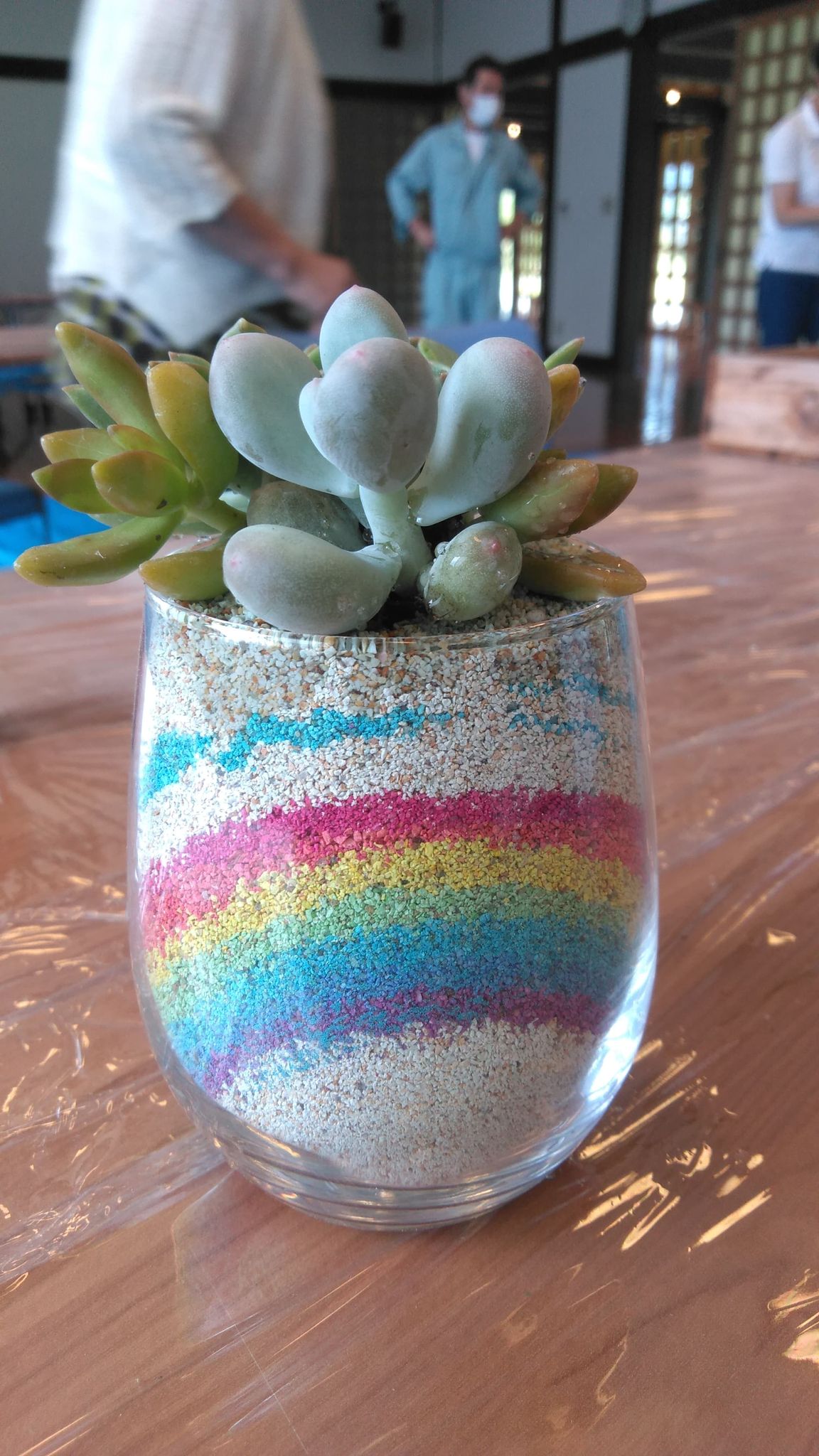 カラーサンドで多肉植物の寄せ植え🌈