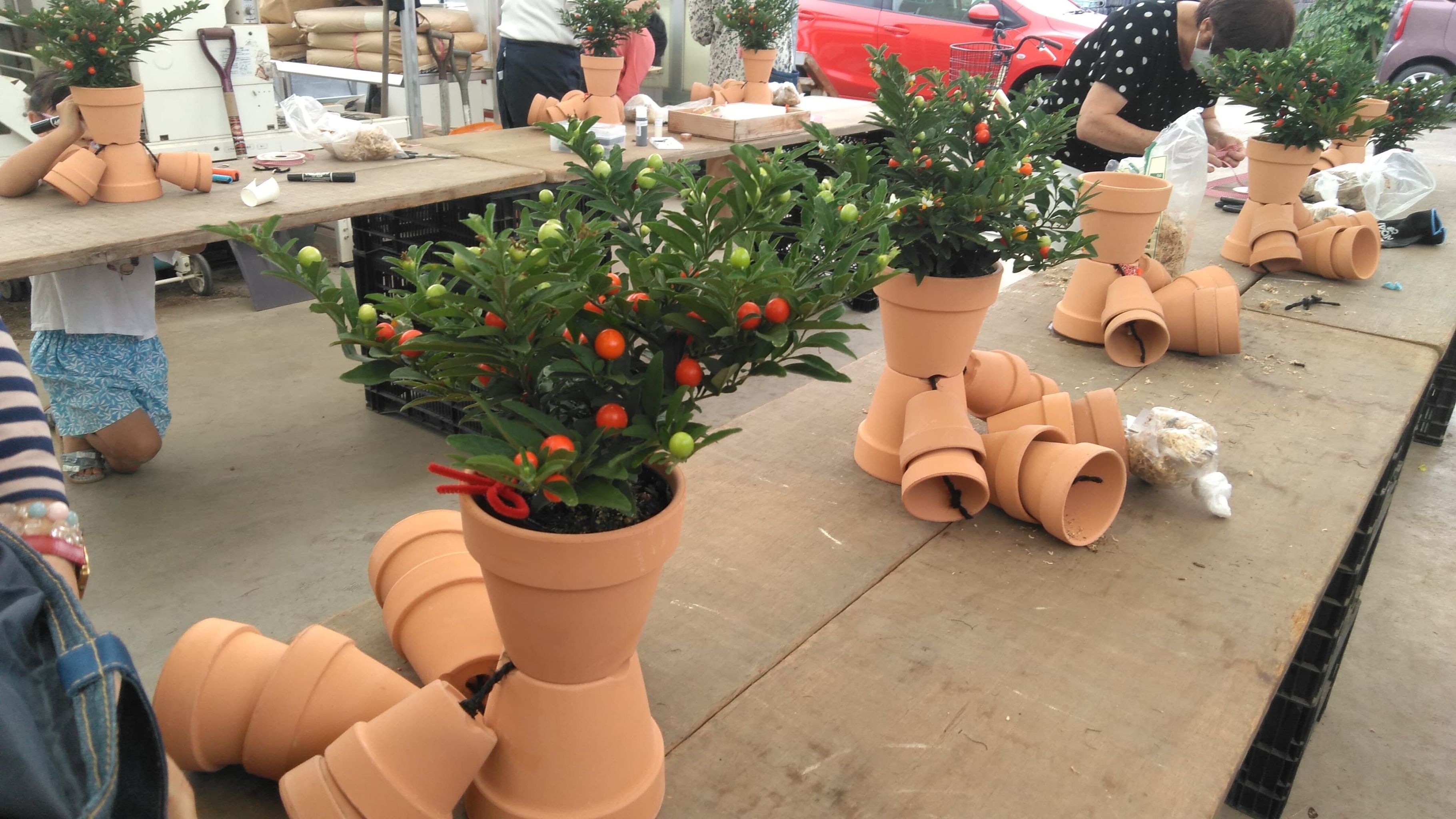 久しぶりのポットマン🌸