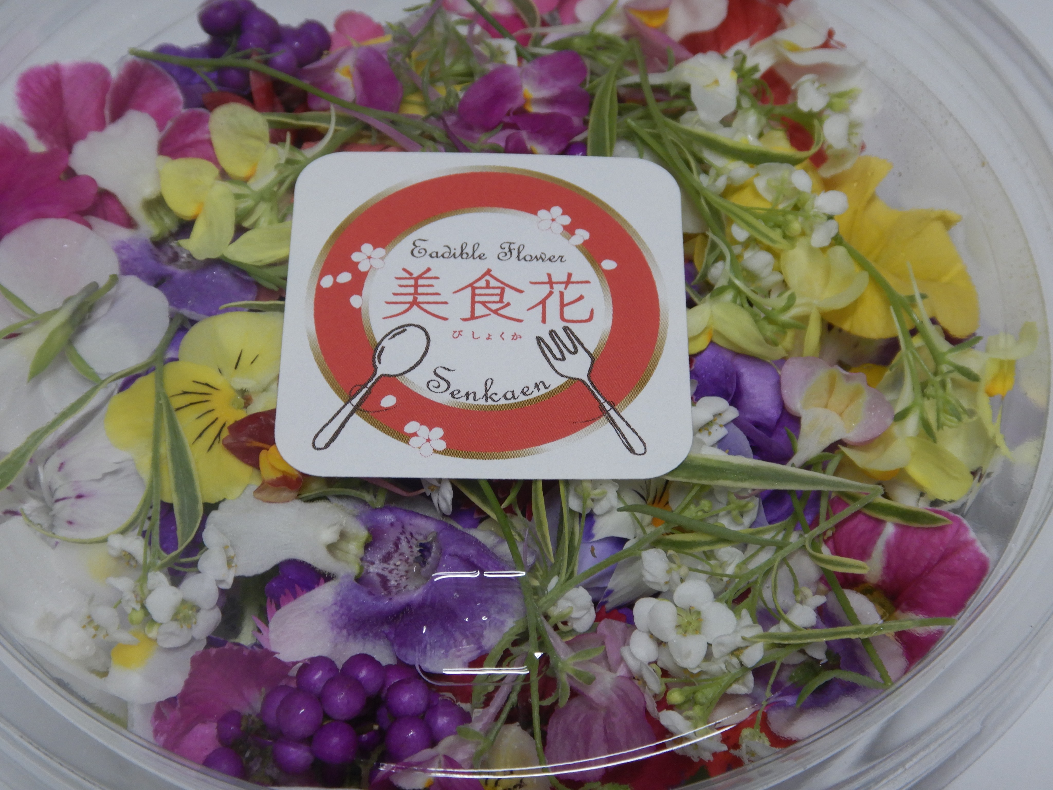 秋のお任せミックスパック🌸