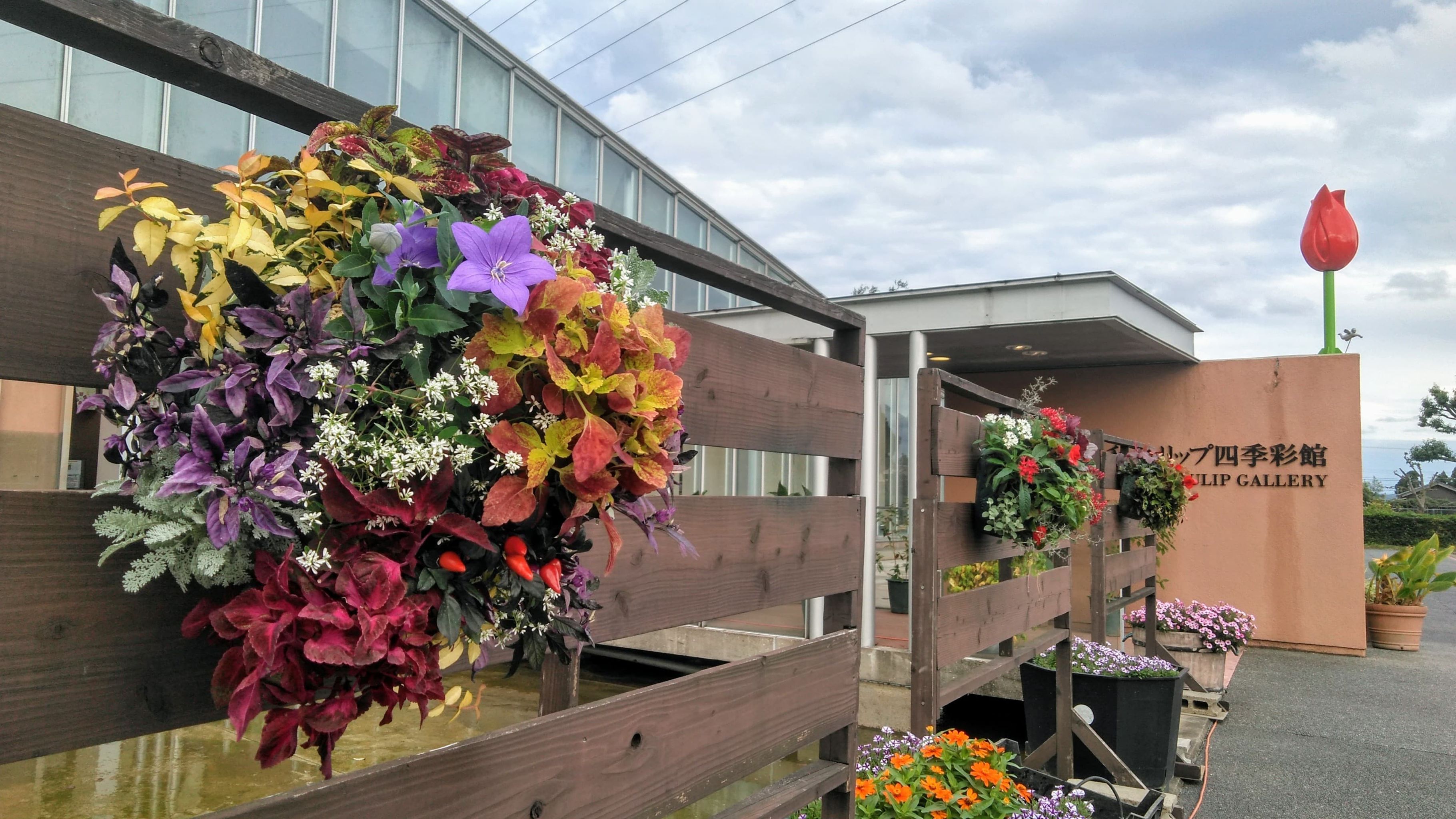 今年もハンギングバスケット展示会🌸