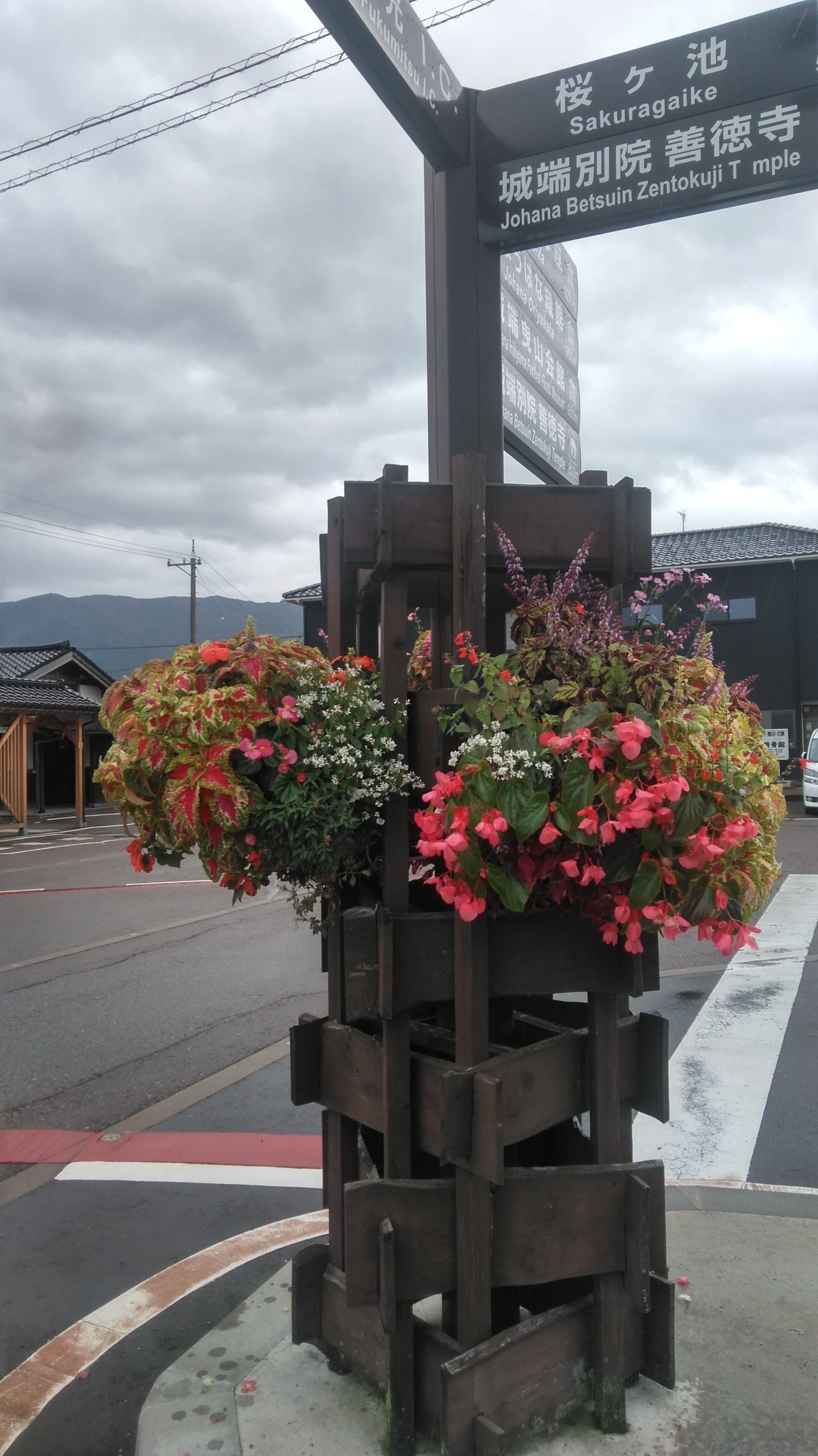 素敵なご夫婦との出会い