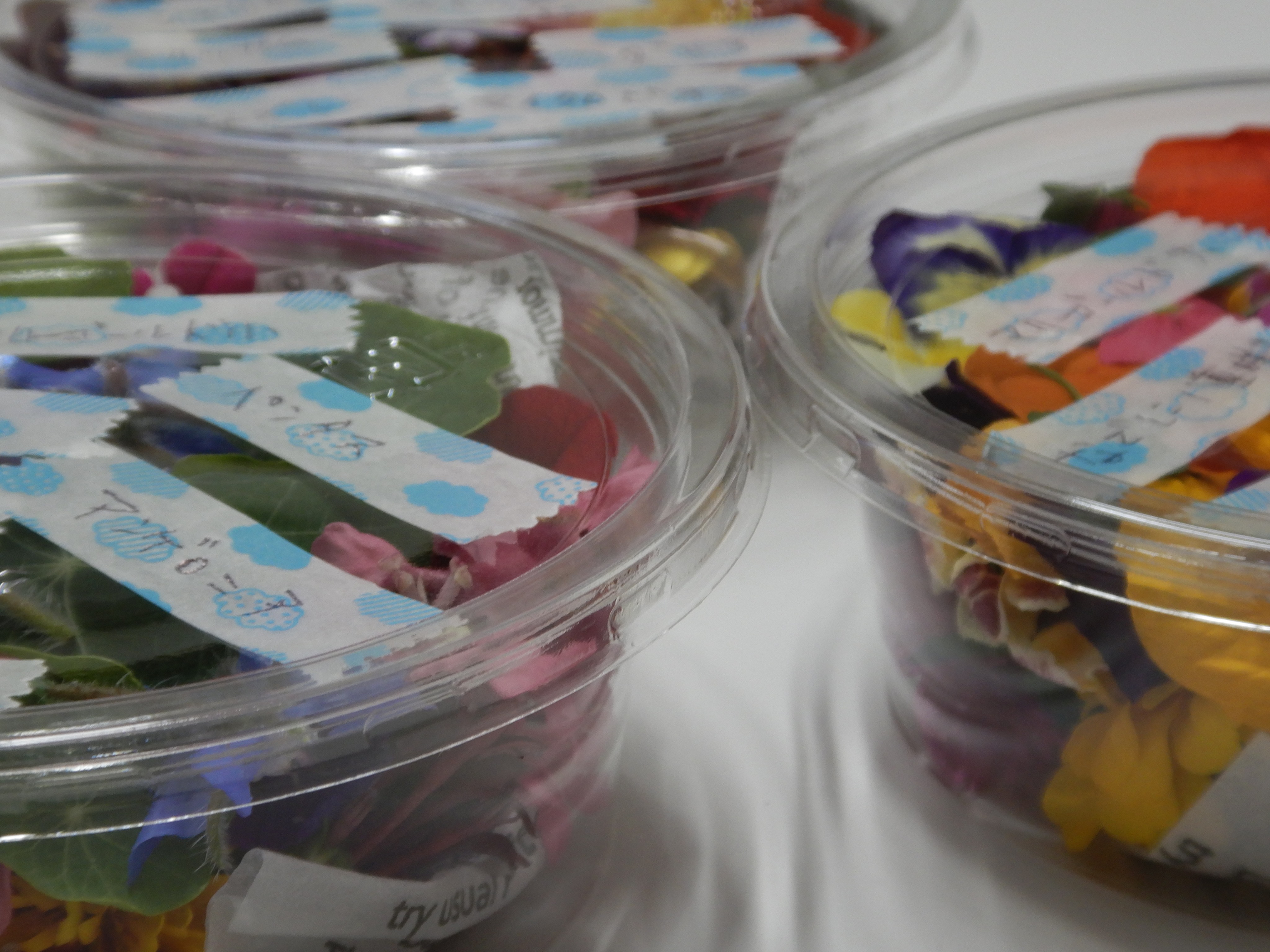 富山にあの名店がやってくる！！