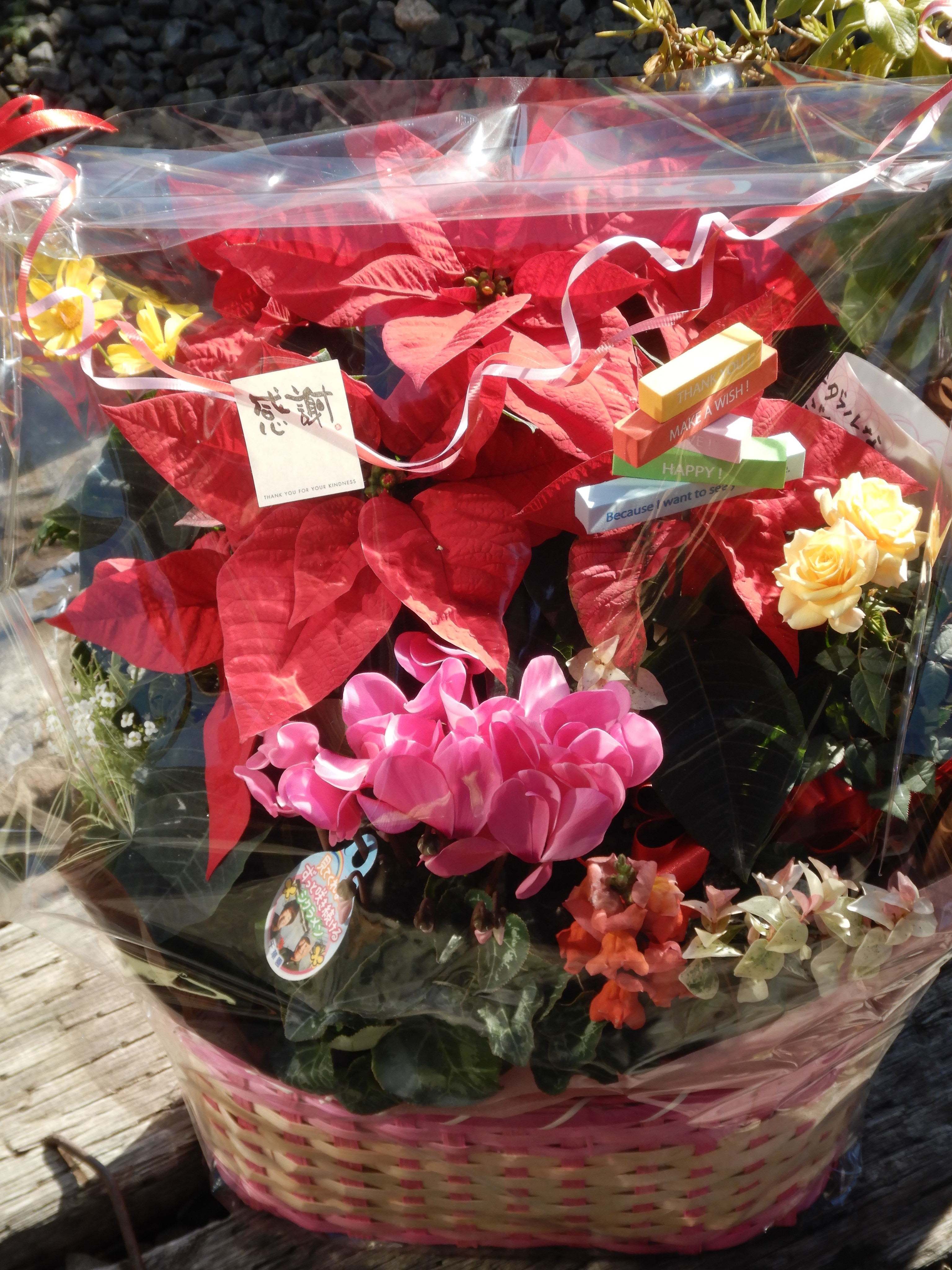 幸せ立会人(笑)