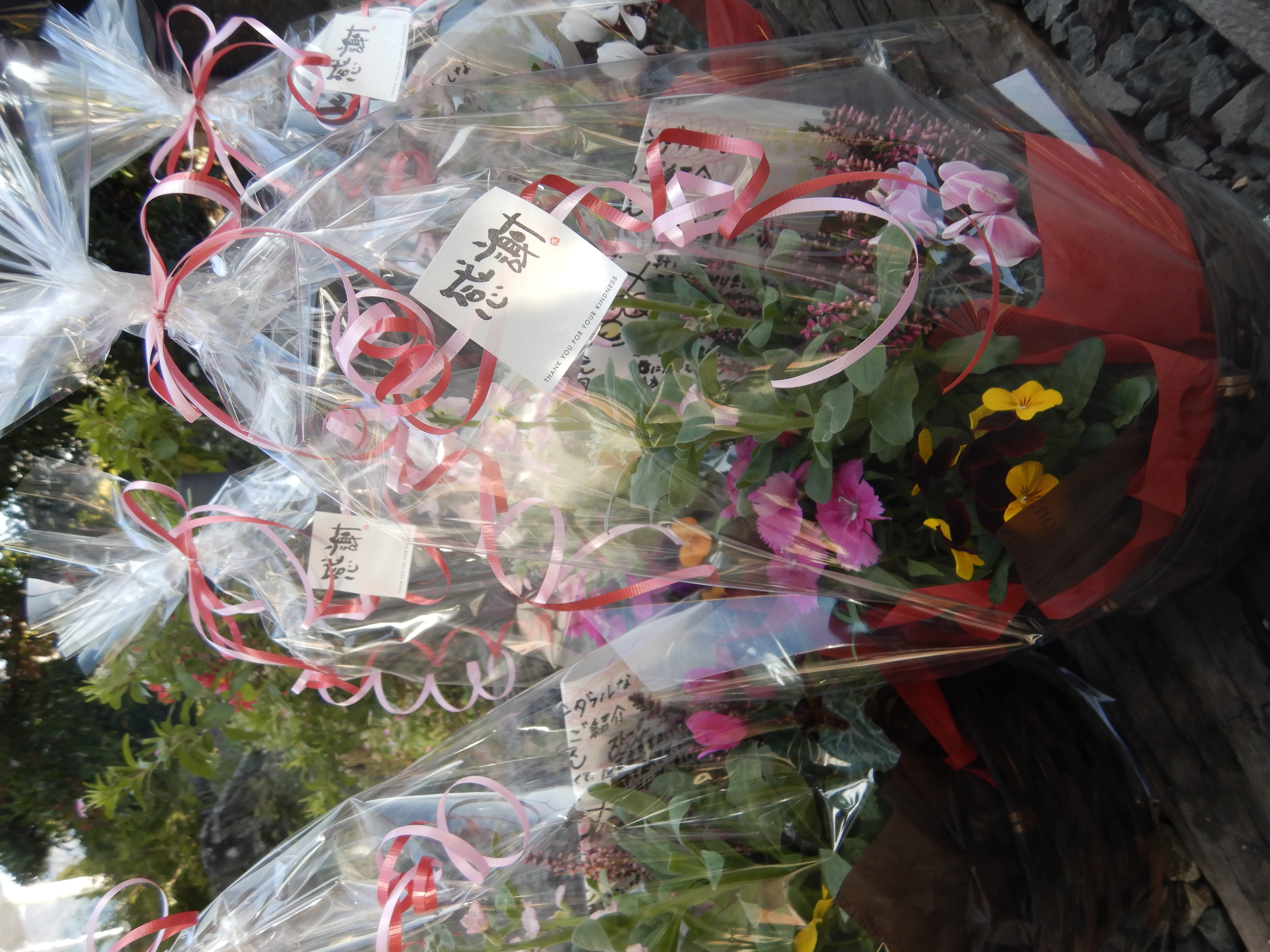 ようやく送別会🌸