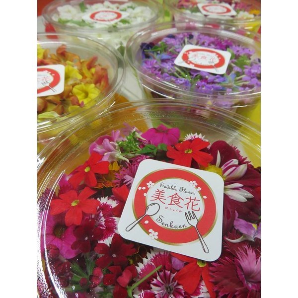 ツクツク開設しました☆(忘)