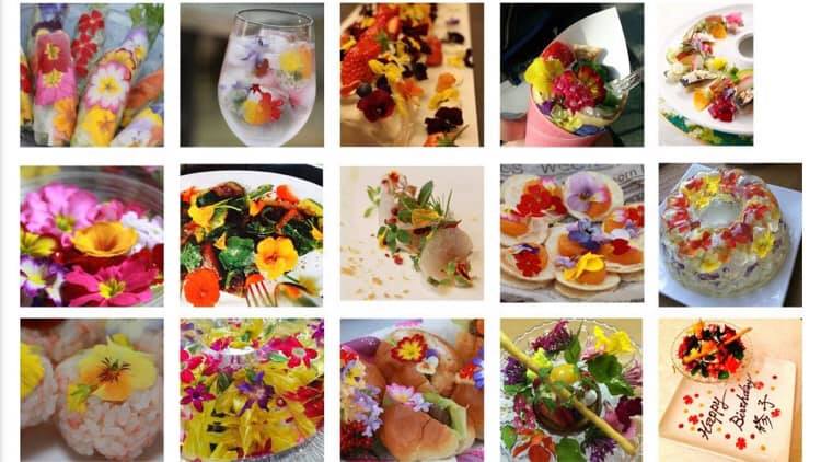 ツクツクを開設しました☆