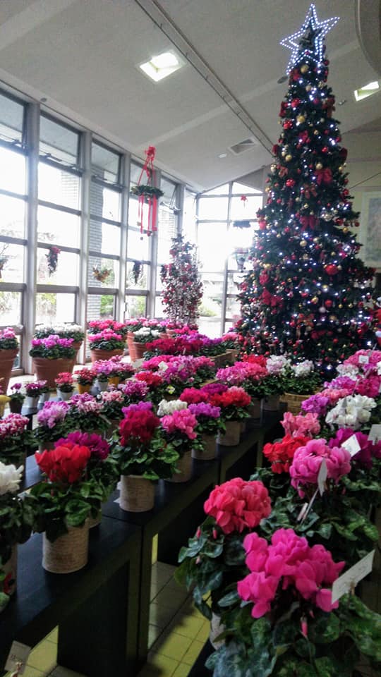 クリスマスモード全開！！