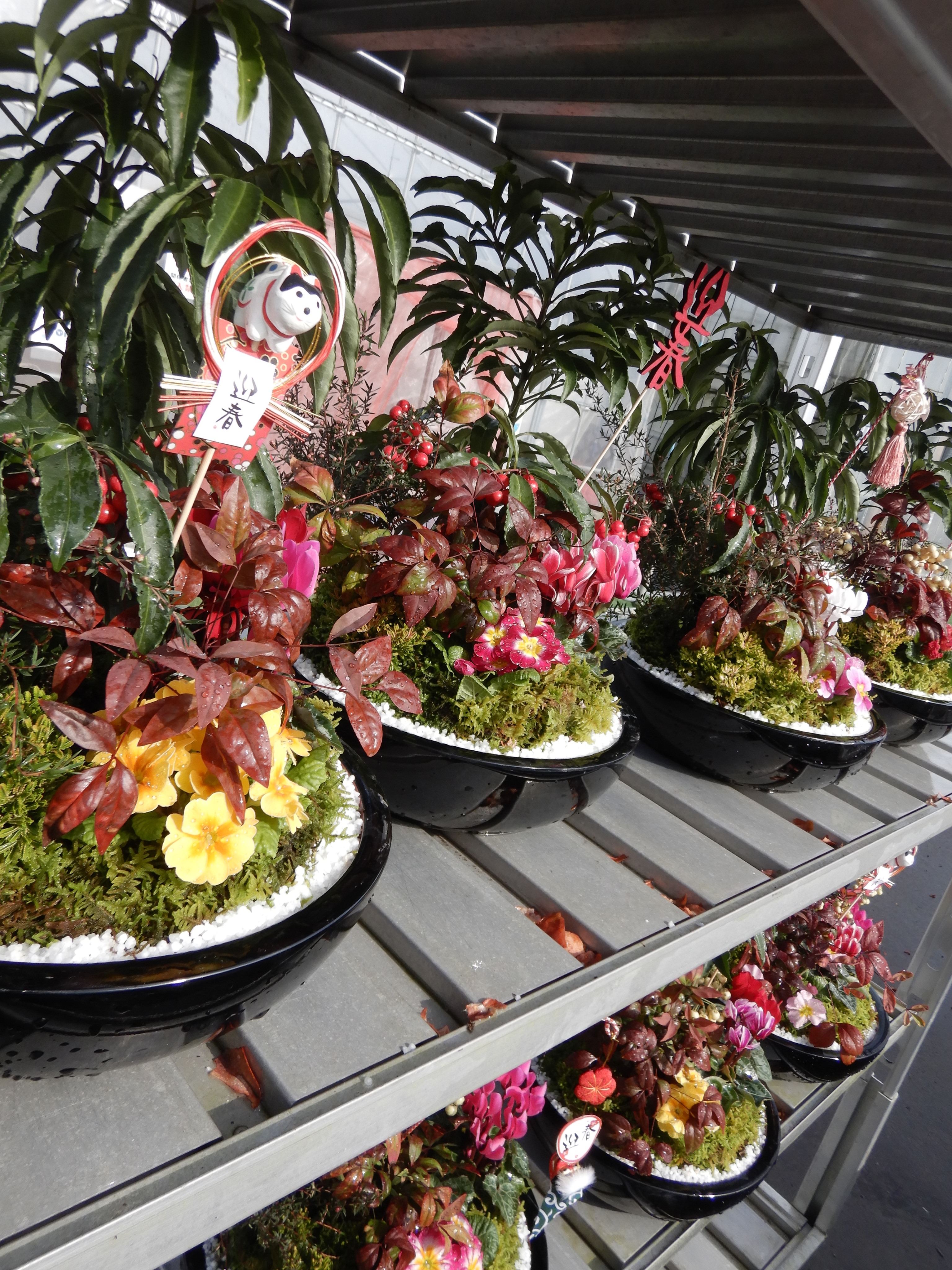 お歳暮にお花のご依頼☆